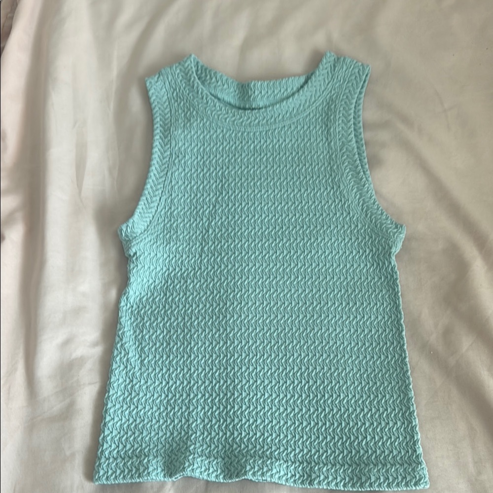 Sleeveless Textured Knit Top in Light Blue